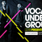 House vocals 910x512