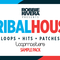 Robbie rivera   tribal house bass   drum loops review