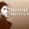 Catching flies review