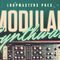 Modularsynthwave review