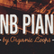 Rnbpiano review