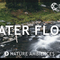 Ct wf nature recording water 1000x512