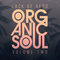 Looptone organic soul v2  review
