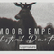 Exmoor review