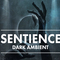 14017 artisan sentience 910x512
