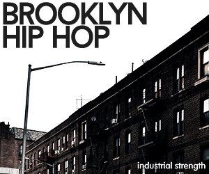 Loopmasters 5 brooklyn hip hop udio wav  production kits  drums  bass  music elements  hip hop  loops  one shots  combination loops  brooklyn 300 x 250