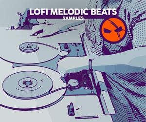 Loopmasters dabromusic lofi melodic beats 300x250 v2