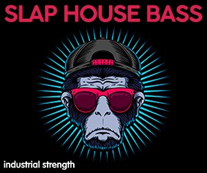 Loopmasters slap house bass 300 x 250