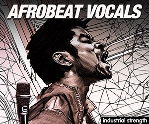 Loopmasters afrobeat vocals midi  production kits  full songs  drums  synth bass  music files  pads  guitar and afro pop 300 x 250