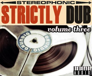 Loopmasters renegade audio strictly dub volume 3
