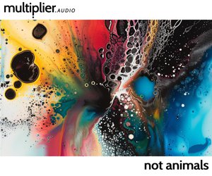 Loopmasters not animals 300x250