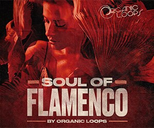Loopmasters sof banner 300