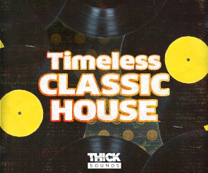 Loopmasters ts162 300x250