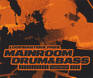 Loopmasters wdnb banner 300