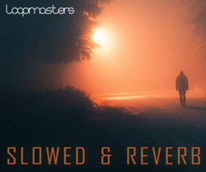 Loopmasters 300x250slowed reverb