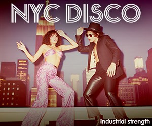 Loopmasters nyc disco 300 x 250