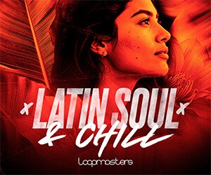 Loopmasters ls banner 300