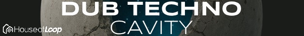Loopmasters dub techno cavity 628