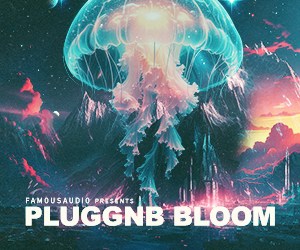 Loopmasters fa pgnb pluggnb chill 300x250