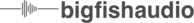Bfa logo on white