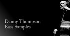 Danny Thompson Double Bass
