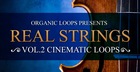 Real Strings Vol. 2 - Cinematic Loops