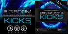 Big Room Kicks