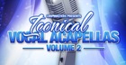 Iconical Vocal Acapellas Volume 2
