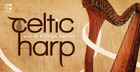 World String Series - Celtic Harp