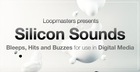 Silicon Sounds