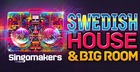 Swedish House & Big Room