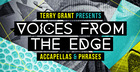 Terry Grant Voices From The Edge