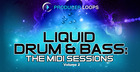 Liquid Drum & Bass: The MIDI Sessions Vol. 2