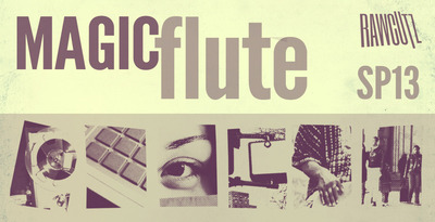 Sp13 magic flute 1000 x 512