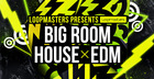 Big Room House & EDM