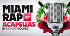 Miami Rap Acapellas