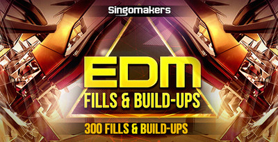 Edm fills   buildups 1000x512