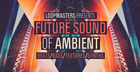 Future Sound Of Ambient