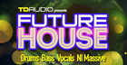 TD Audio Presents Future House