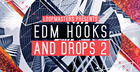 EDM Hooks and Drops Vol2