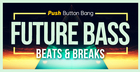 Future Bass:  Beats & Breaks