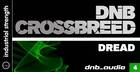 DnB Audio: DnB Crossbreed Dread