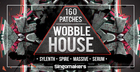 160 Wobble House Patches