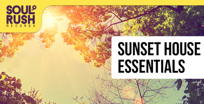 Sunsete banner