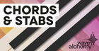 Chords & Stabs