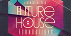 Future House Foundations