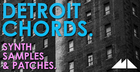 Detroit Chords - Synth Samples & Patches