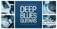 Rv deep blues guitars 1000 x 512