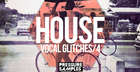 House Vocal Glitches 4