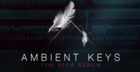 Ambient Keys for Xfer Serum